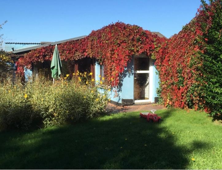 Willa Blaues Haus Neu Reddevitz Lancken-Granitz Zewnętrze zdjęcie
